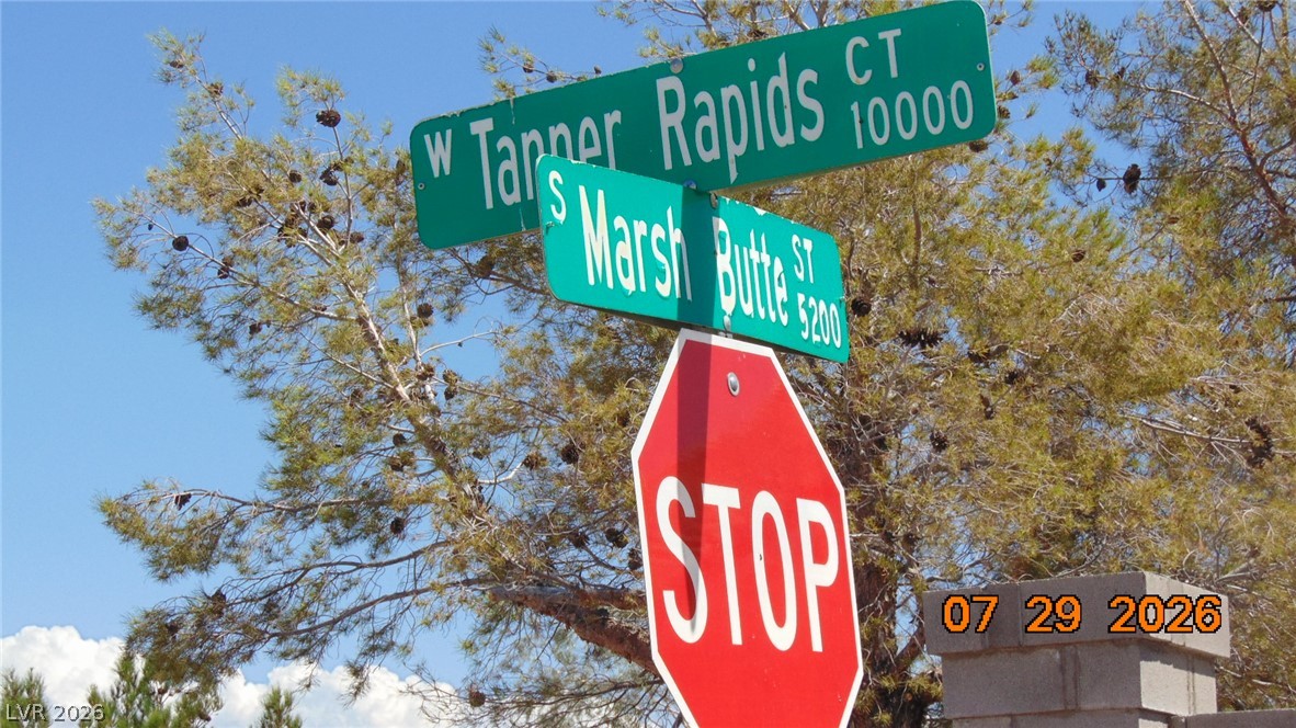 10071 Tanner Rapids Court Property Photo 22