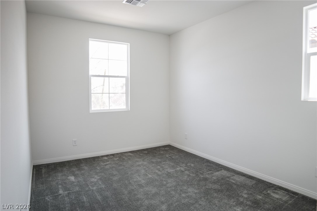 1818 Vibrant Barn Avenue Property Photo 21