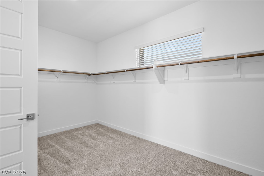 10052 Decano Ridge Street Property Photo 40