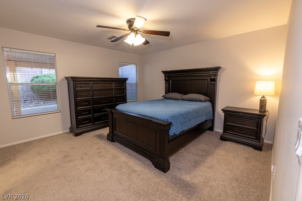 181 Sandhill Crane Avenue Property Photo 14