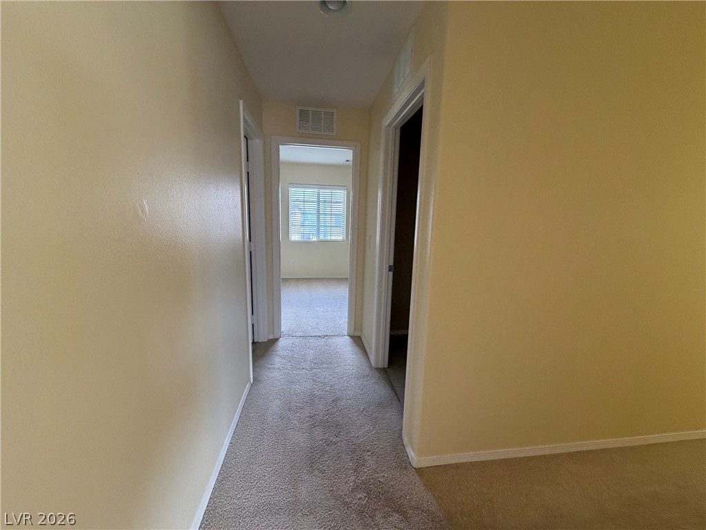 10629 Axis Mountain Court Property Photo 14