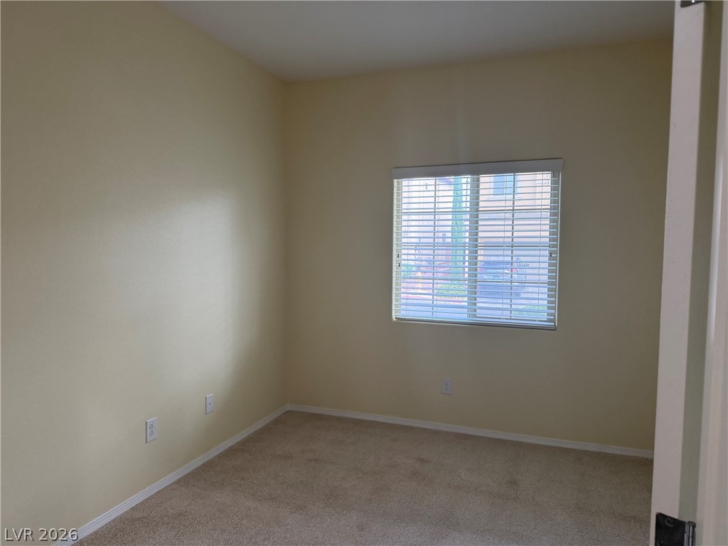 10629 Axis Mountain Court Property Photo 17