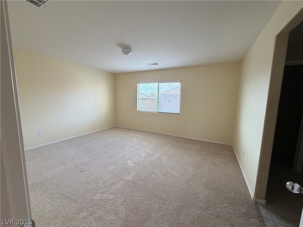 10629 Axis Mountain Court Property Photo 22