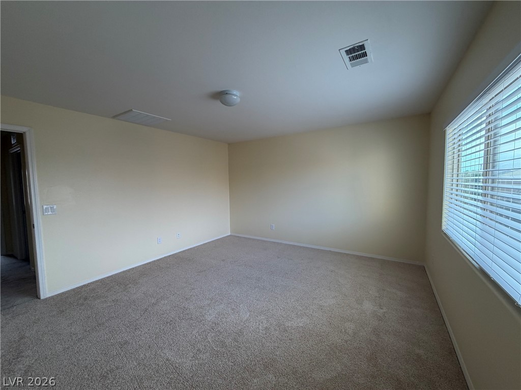 10629 Axis Mountain Court Property Photo 23
