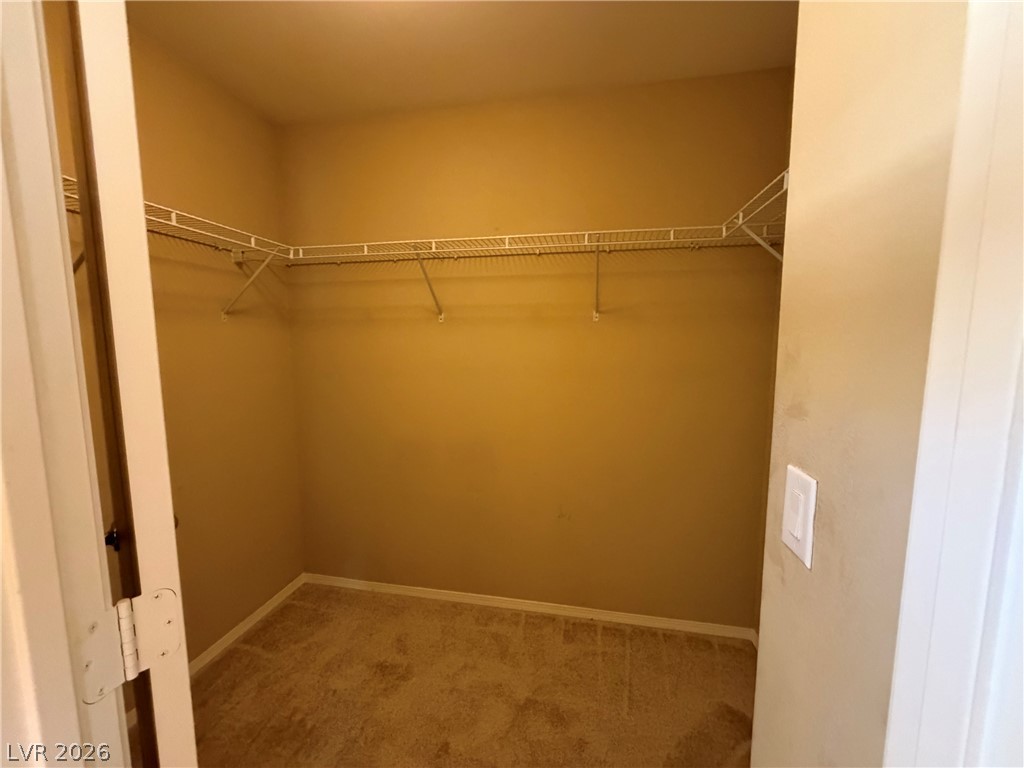 10629 Axis Mountain Court Property Photo 27