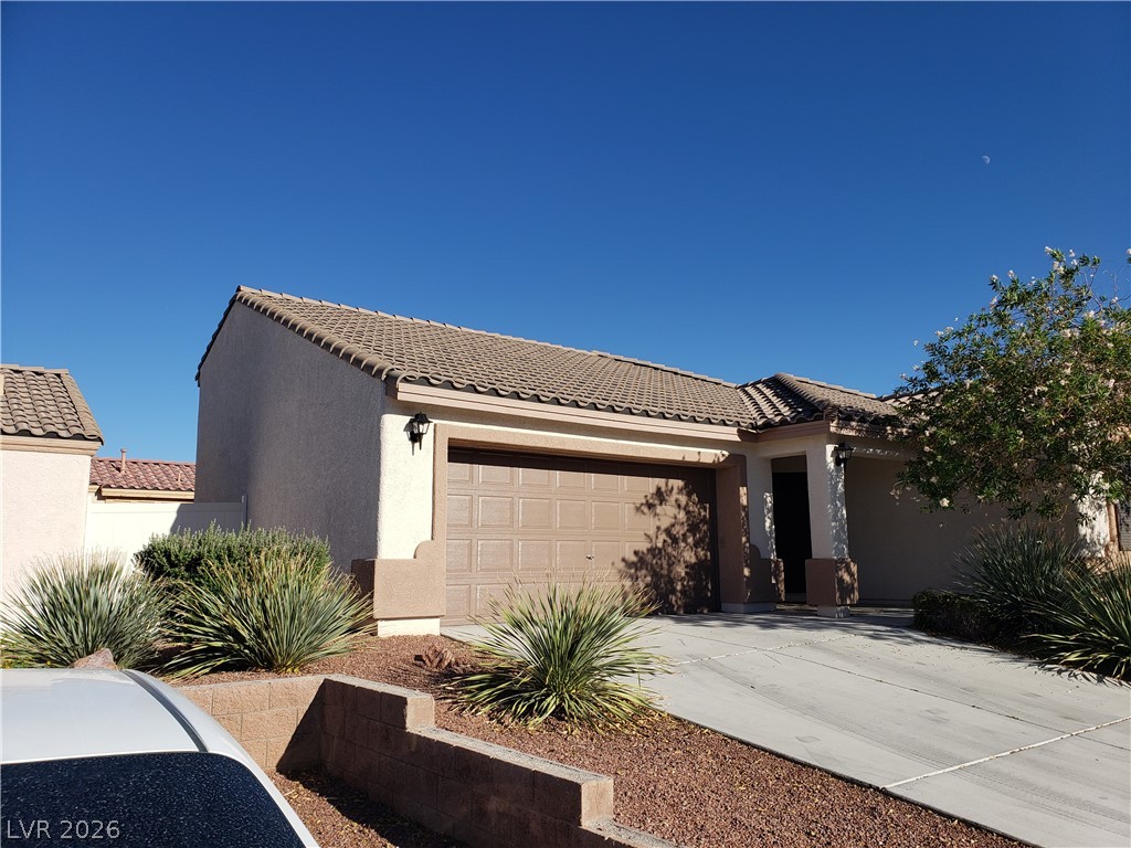 7876 Crownbeard Street Property Photo 3
