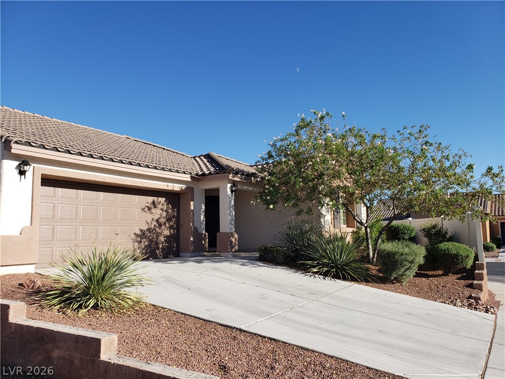7876 Crownbeard Street Property Photo 4