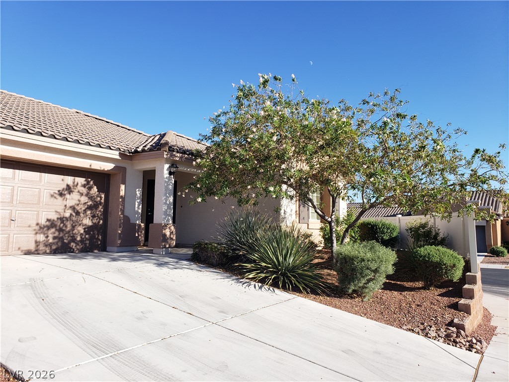 7876 Crownbeard Street Property Photo 5
