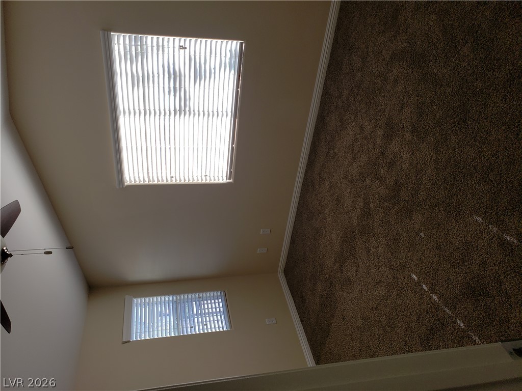 7876 Crownbeard Street Property Photo 23