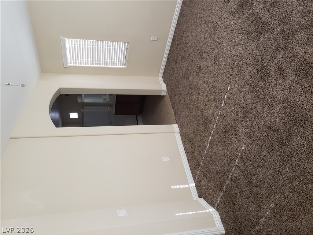 7876 Crownbeard Street Property Photo 24