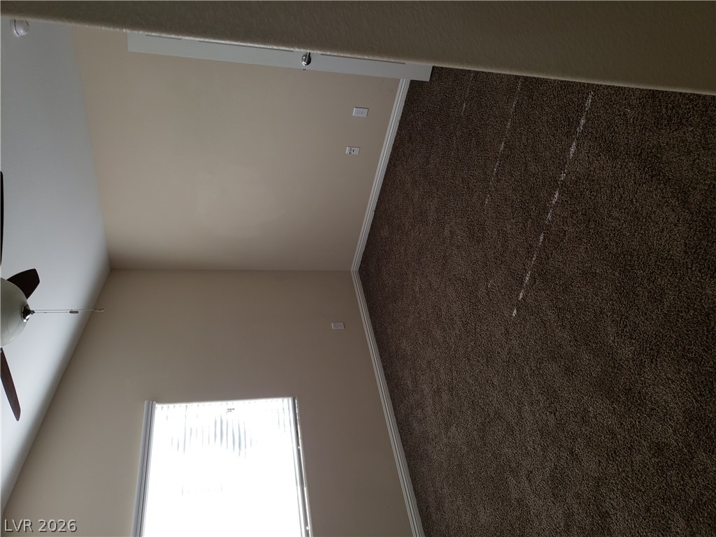 7876 Crownbeard Street Property Photo 30