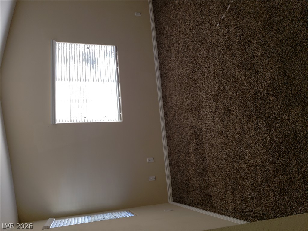 7876 Crownbeard Street Property Photo 31