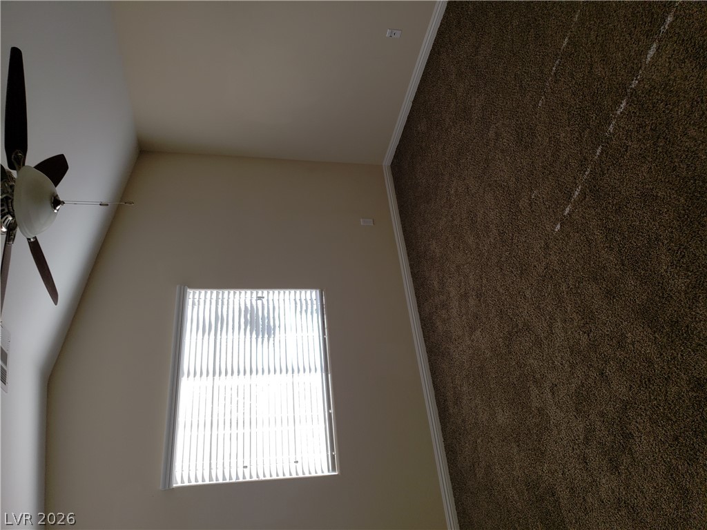 7876 Crownbeard Street Property Photo 32
