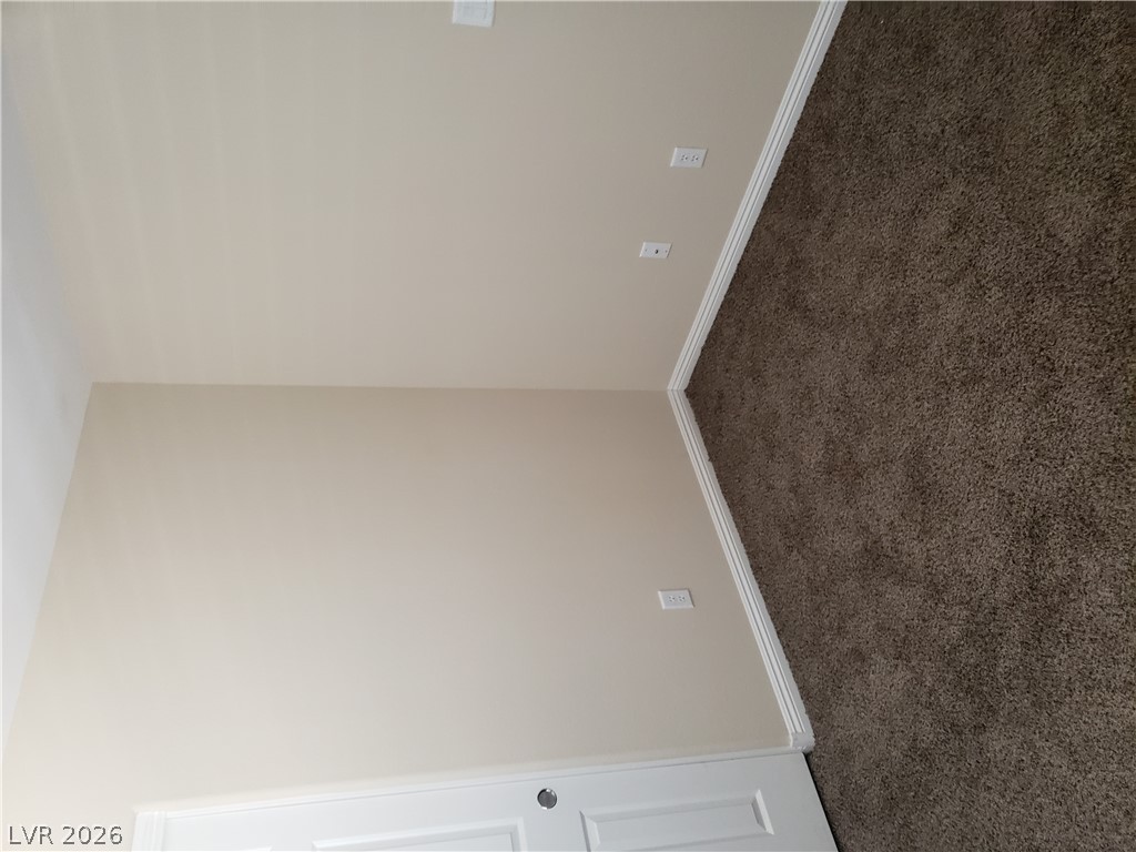 7876 Crownbeard Street Property Photo 37