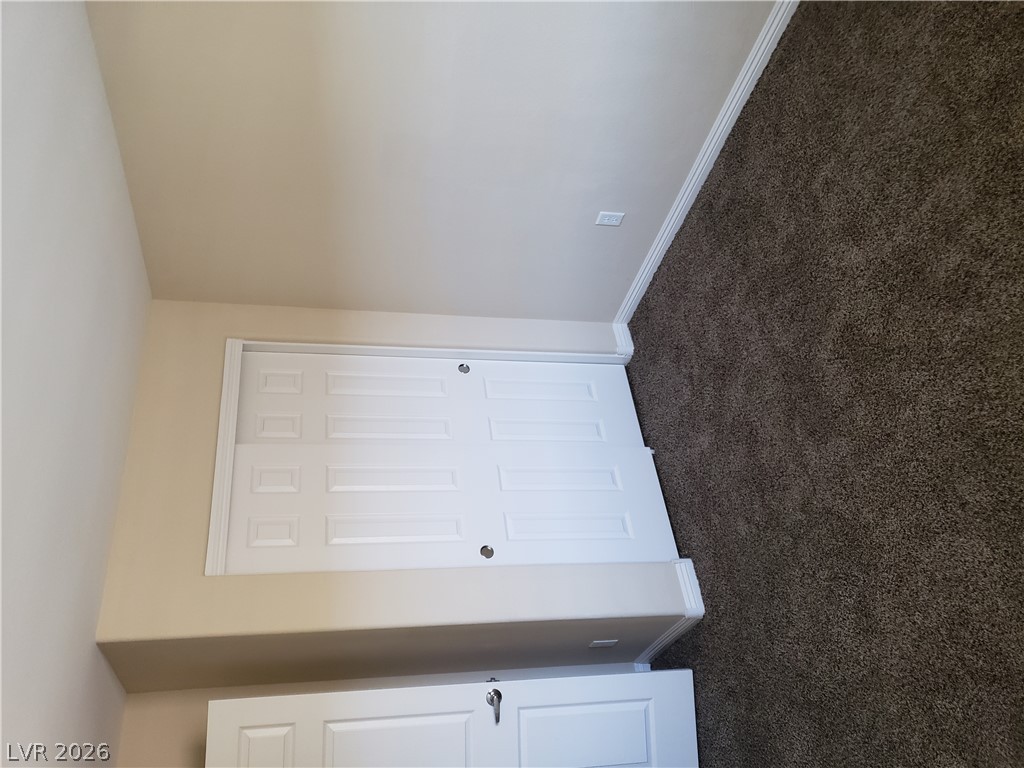 7876 Crownbeard Street Property Photo 42