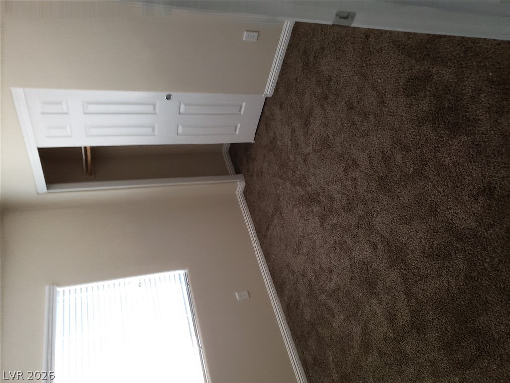 7876 Crownbeard Street Property Photo 44
