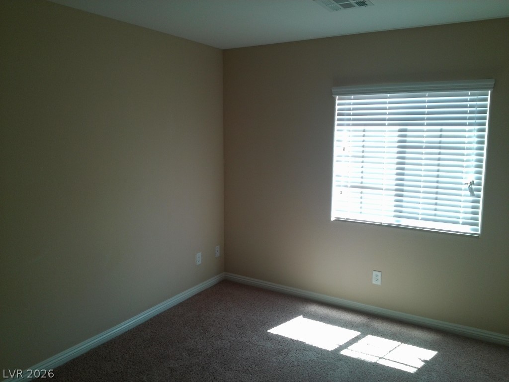 7876 Crownbeard Street Property Photo 50