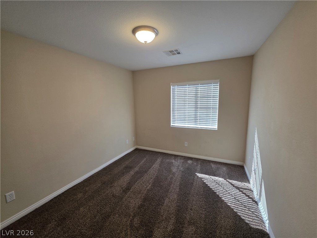 7876 Crownbeard Street Property Photo 43