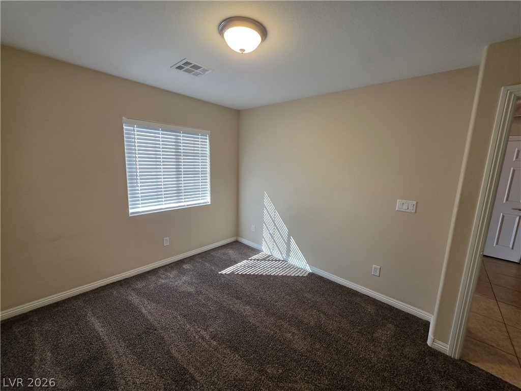 7876 Crownbeard Street Property Photo 47