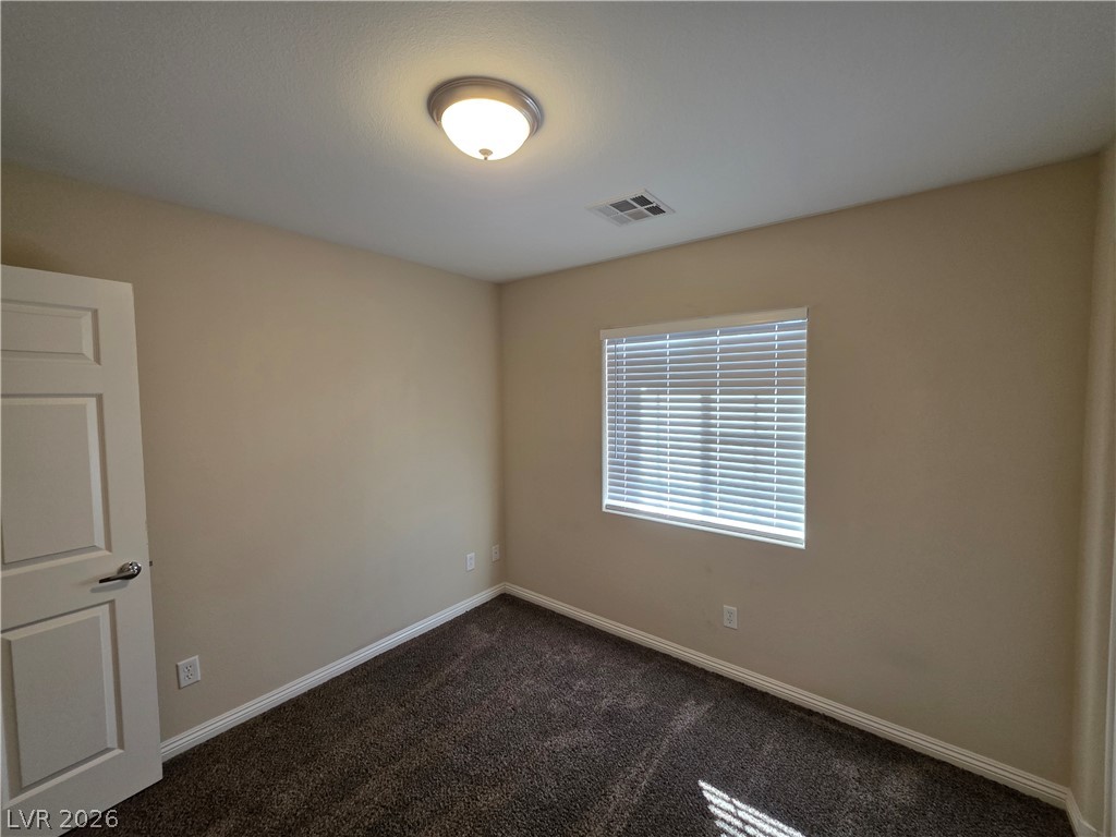 7876 Crownbeard Street Property Photo 54