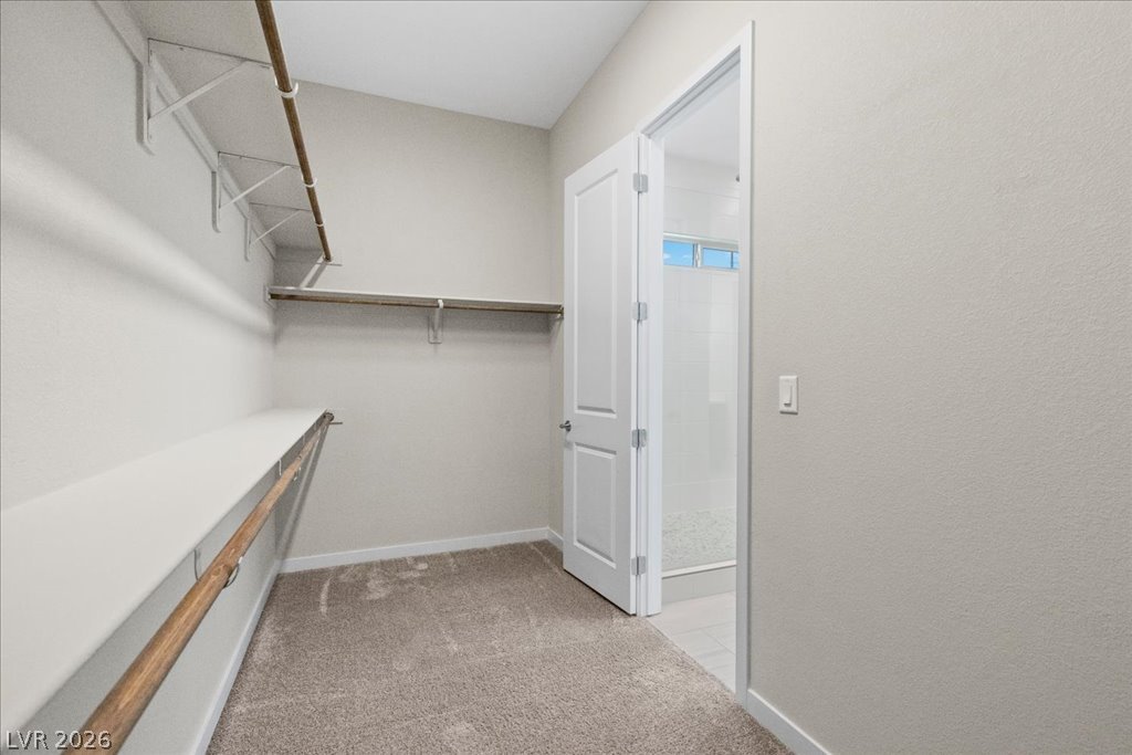 61 Agnew Street Property Photo 27