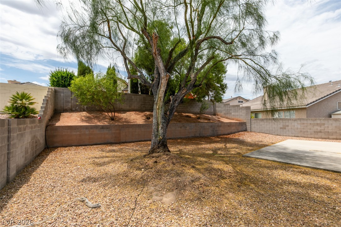 2052 Angel Falls Drive Property Photo 24