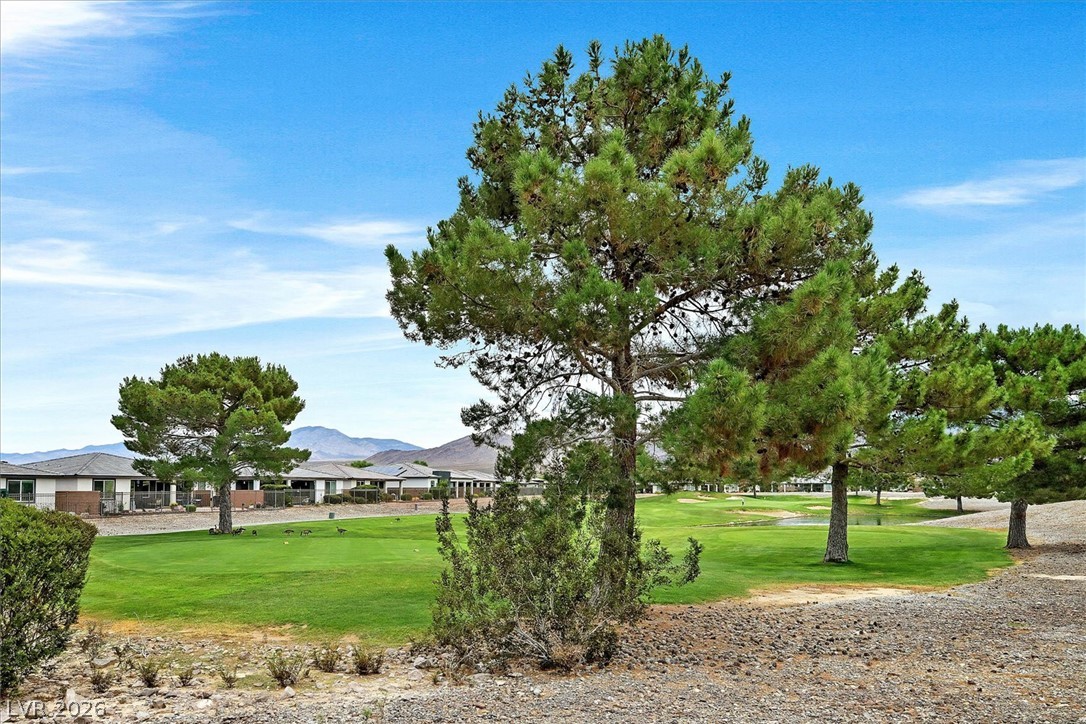 4854 East Cactus Canyon Drive Property Photo 26