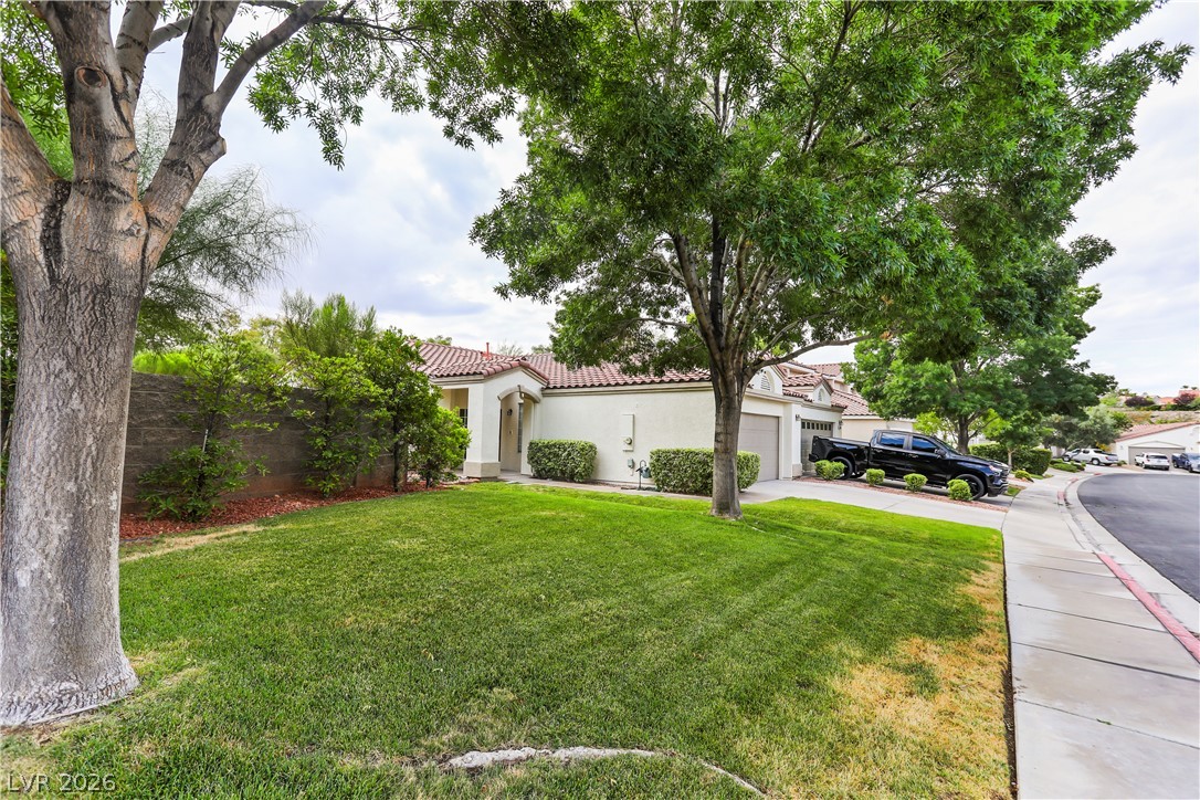1134 Evening Ridge Street Property Photo 1