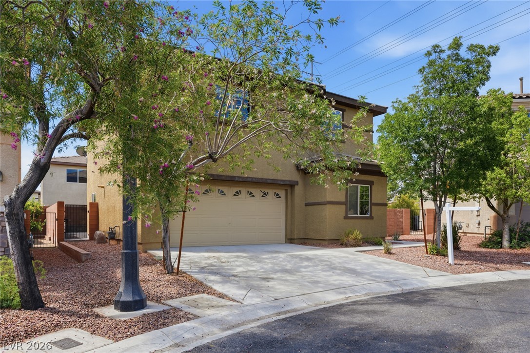 10637 Axis Mountain Court Property Photo 2