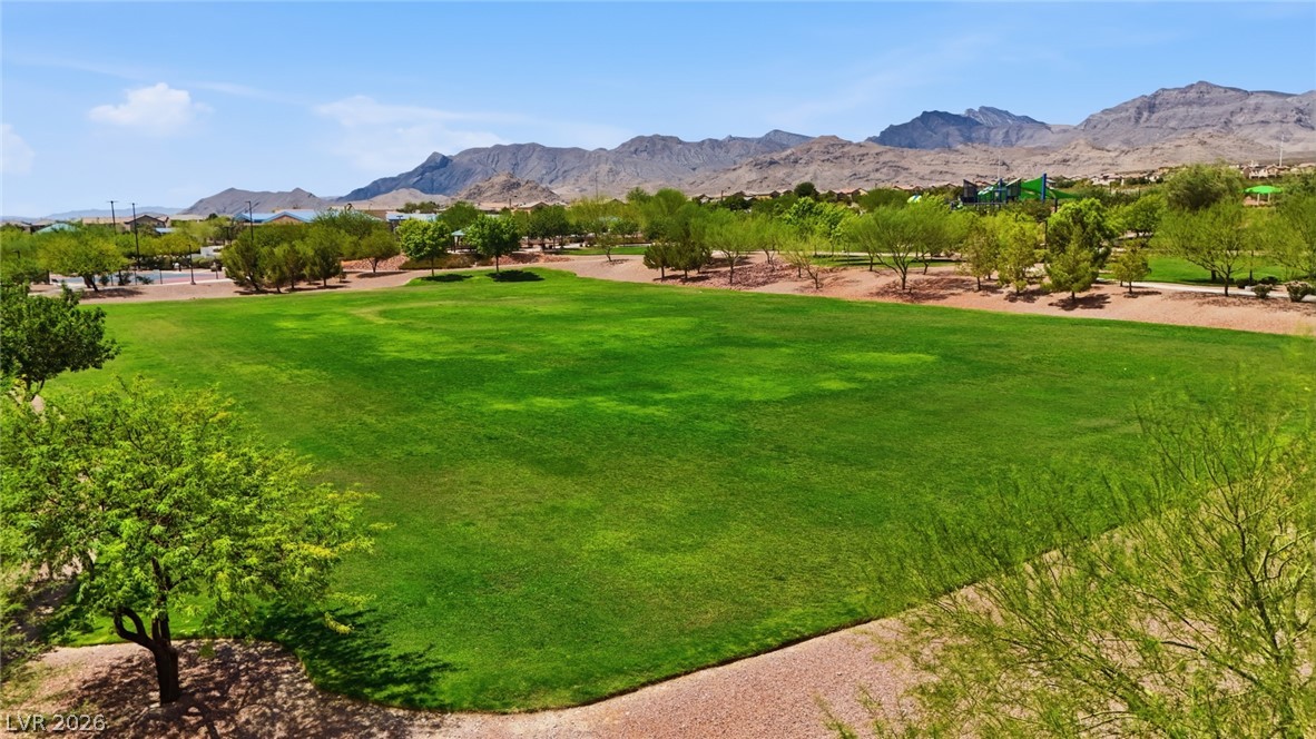 10637 Axis Mountain Court Property Photo 56