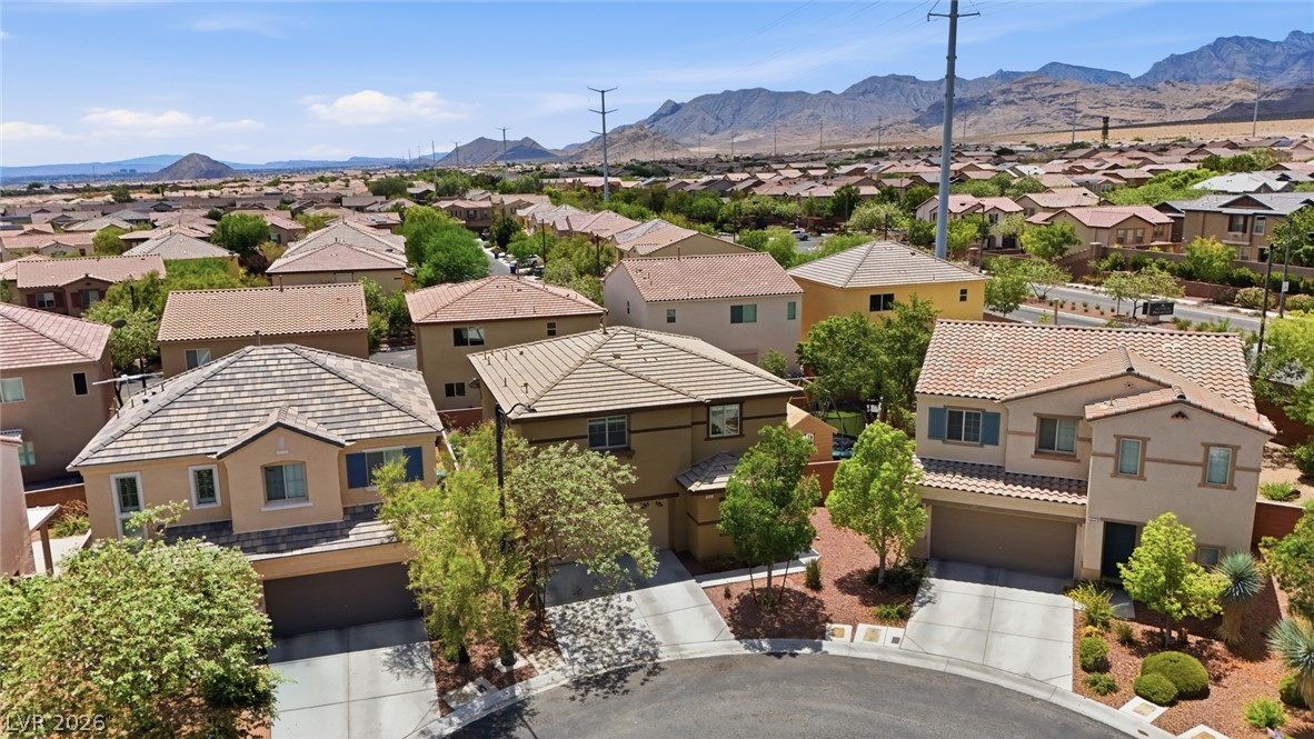 10637 Axis Mountain Court Property Photo 61