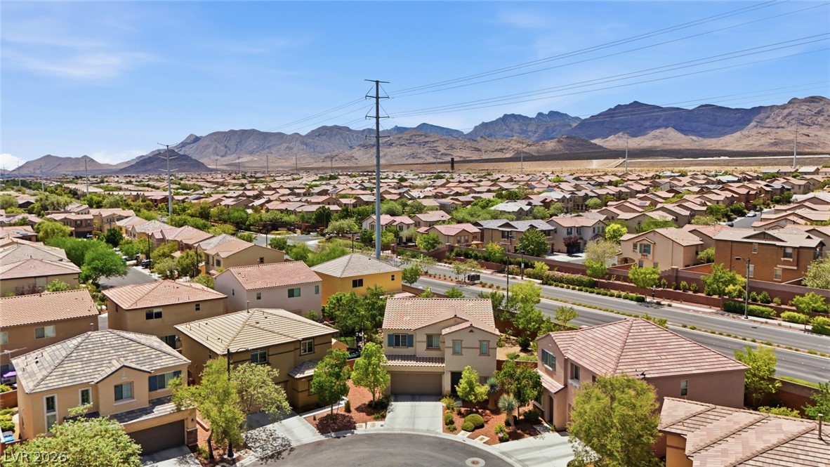 10637 Axis Mountain Court Property Photo 66
