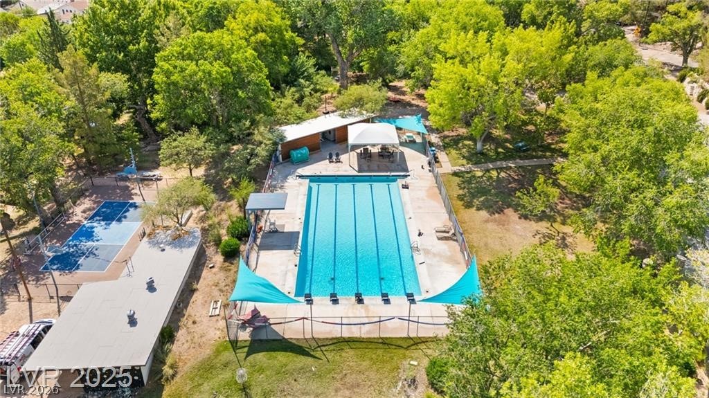 100 Spanish Trail Property Photo 16