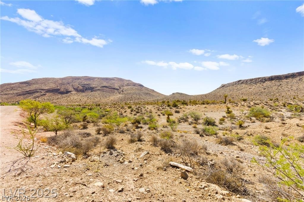 100 Spanish Trail Property Photo 29