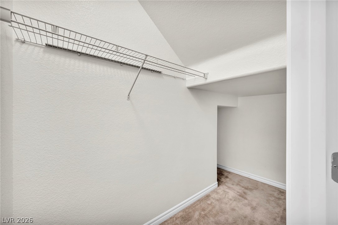 11178 Corsica Mist Avenue Property Photo 24