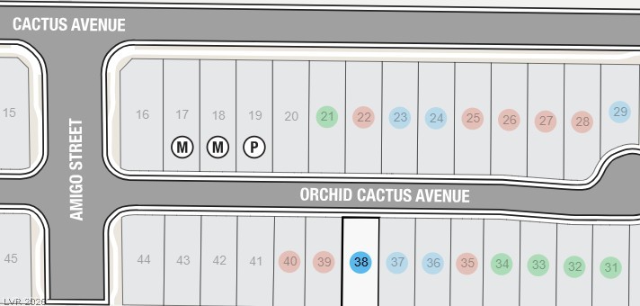 645 Orchid Cactus Avenue Property Photo 5