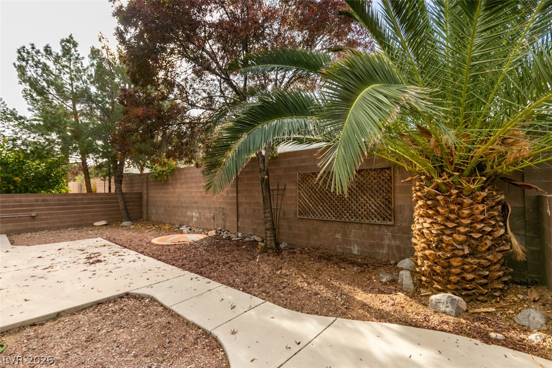 1509 Cimarron Crest Street 0 Property Photo 43