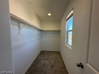 357 Silva Place Property Photo 15