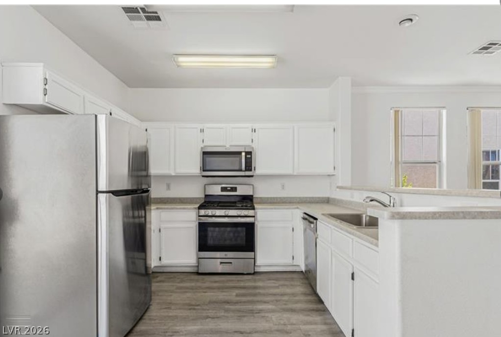 2520 Bottle Palm Court Property Photo 10