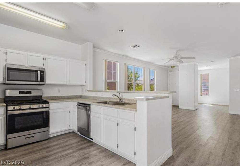 2520 Bottle Palm Court Property Photo 11