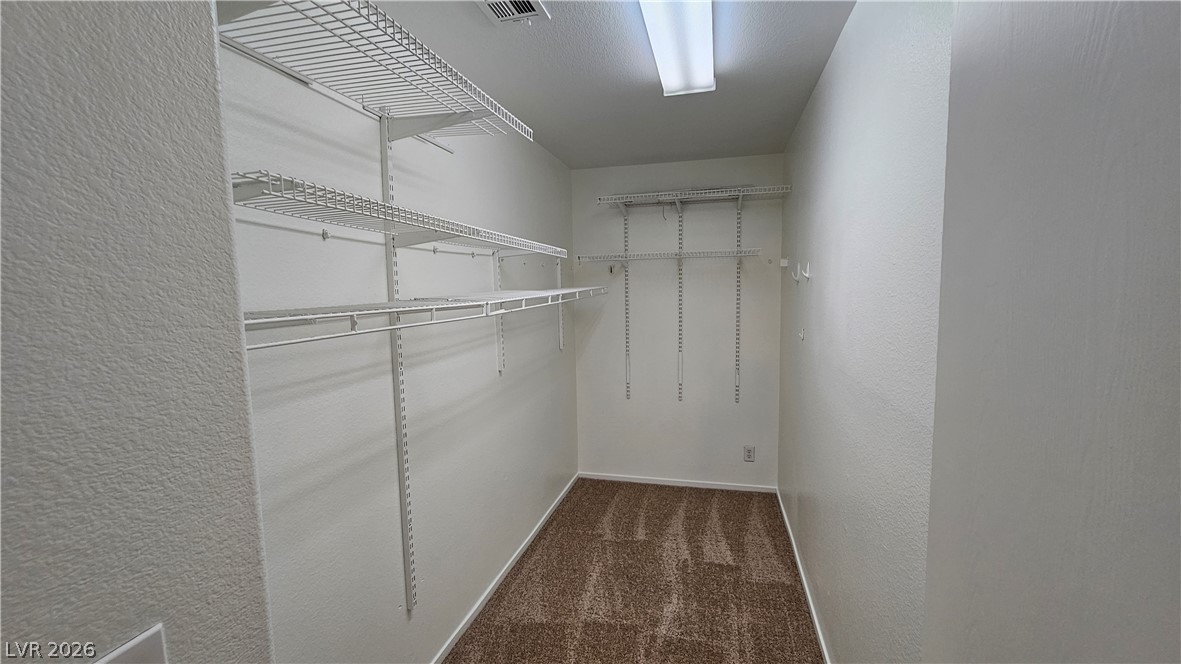 10071 Cheyenne Dawn Street Property Photo 20