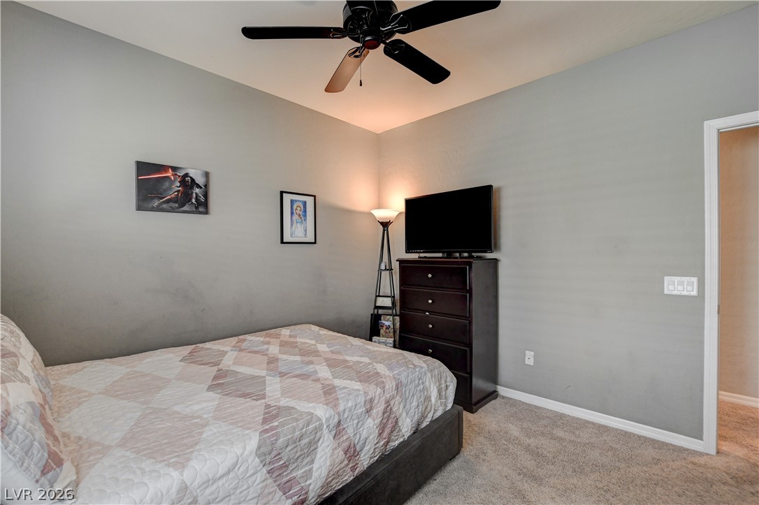10604 Harvest Green Way Property Photo 42