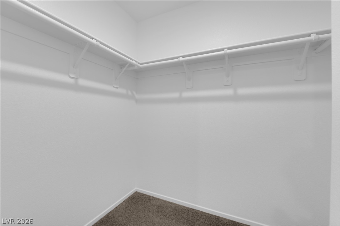 1114 Scarlet Sparrow Street Property Photo 33