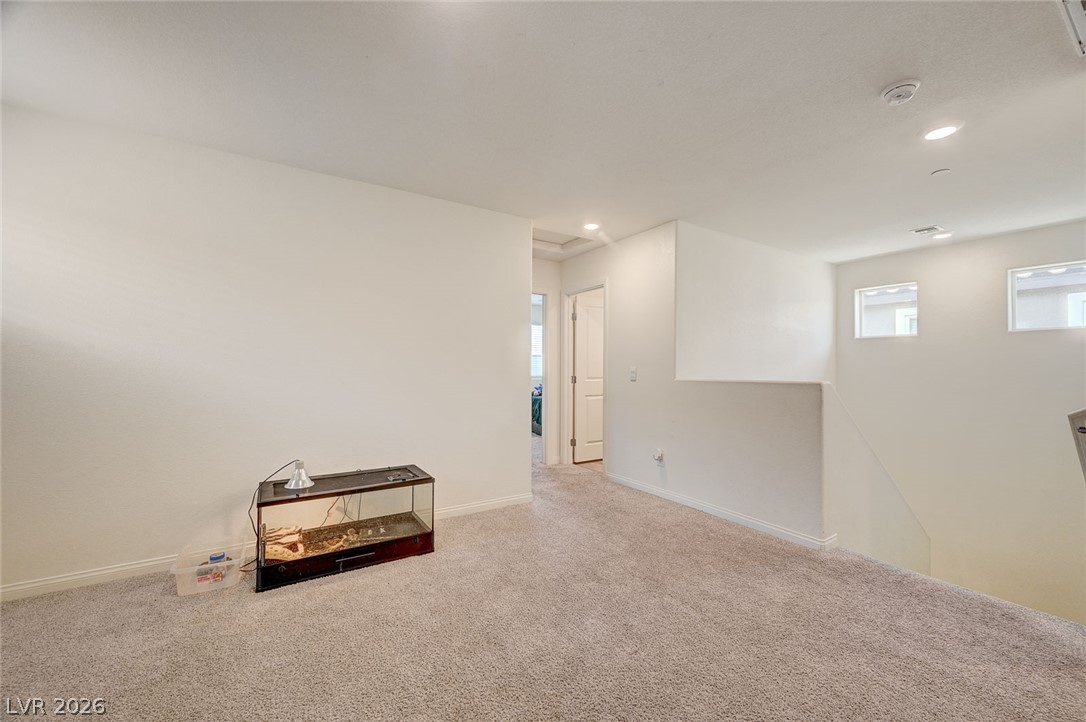 9946 Indigo Cliffs Street Property Photo 23