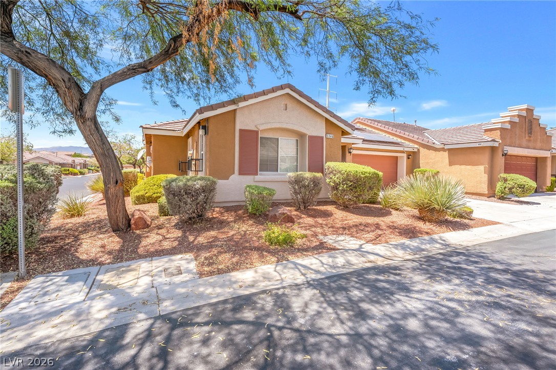 5346 Cholla Cactus Avenue Property Photo 3