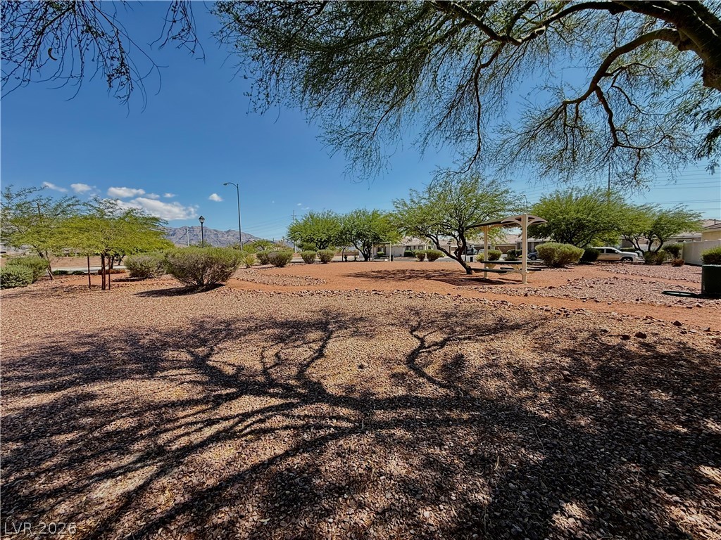 4837 Raw Umber Court Property Photo 19