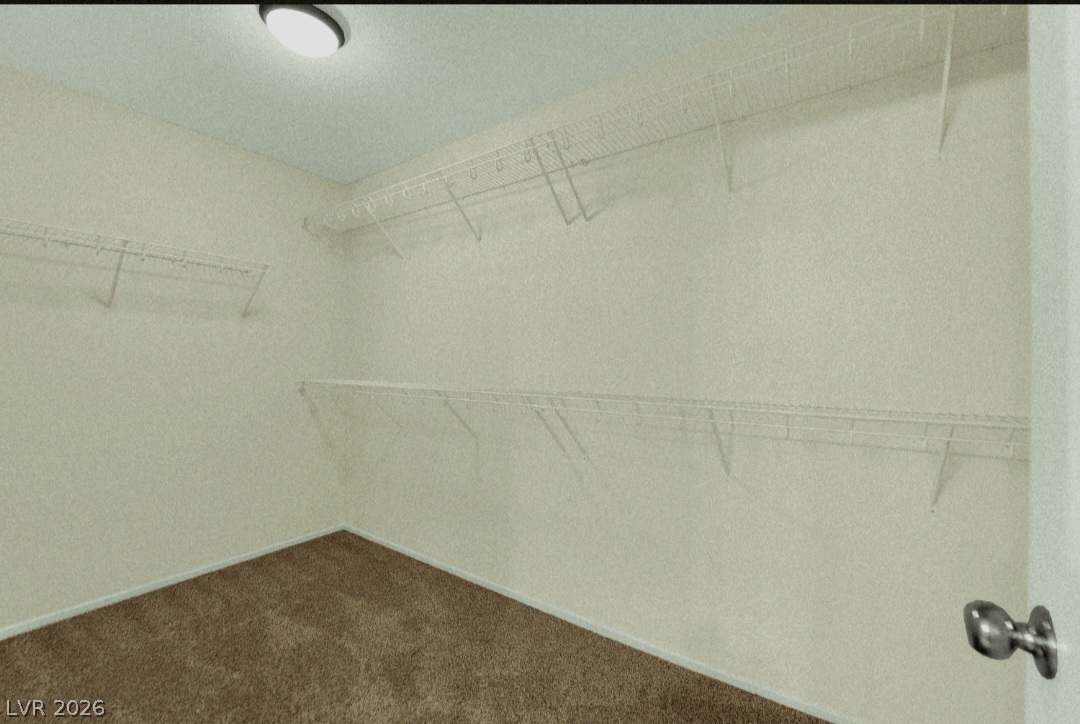 9045 Spirit Canyon Avenue Property Photo 22