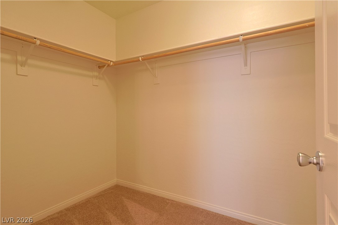 8663 Reynolds Spring Street Property Photo 22