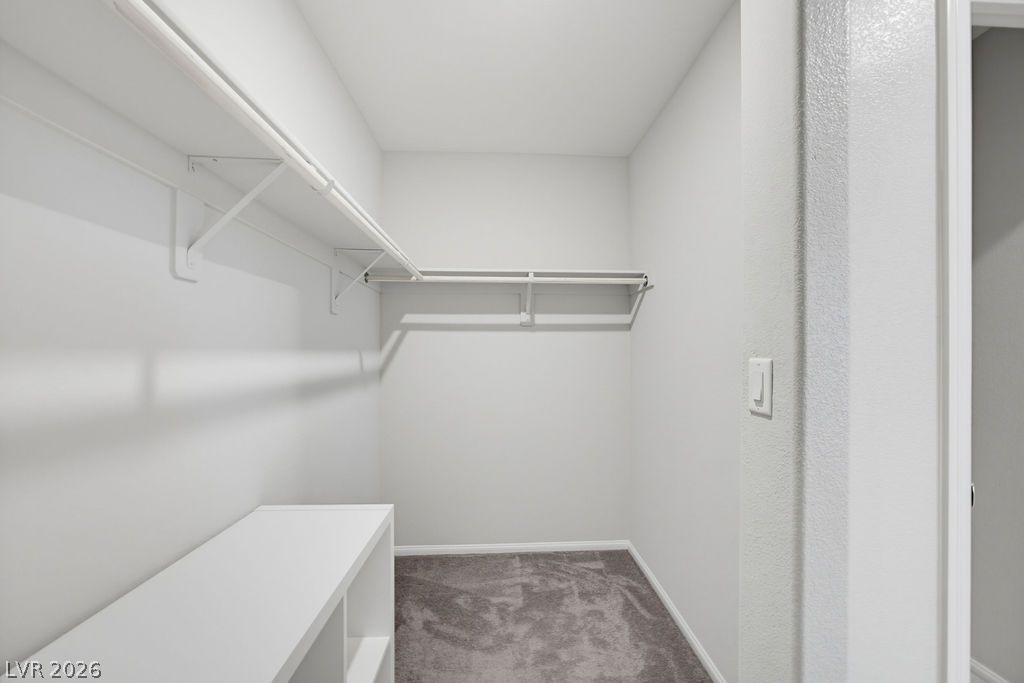 10661 Sariah Skye Avenue Property Photo 32