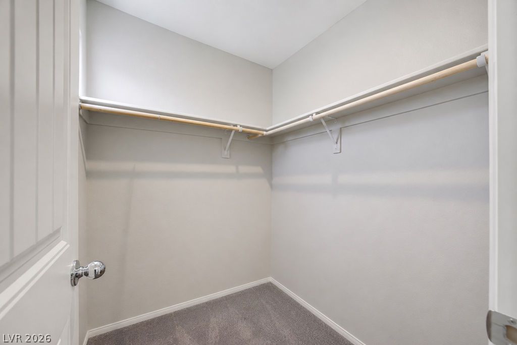 10661 Sariah Skye Avenue Property Photo 40